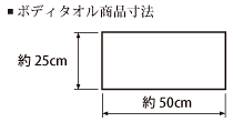 サイズ