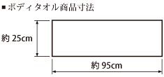 サイズ