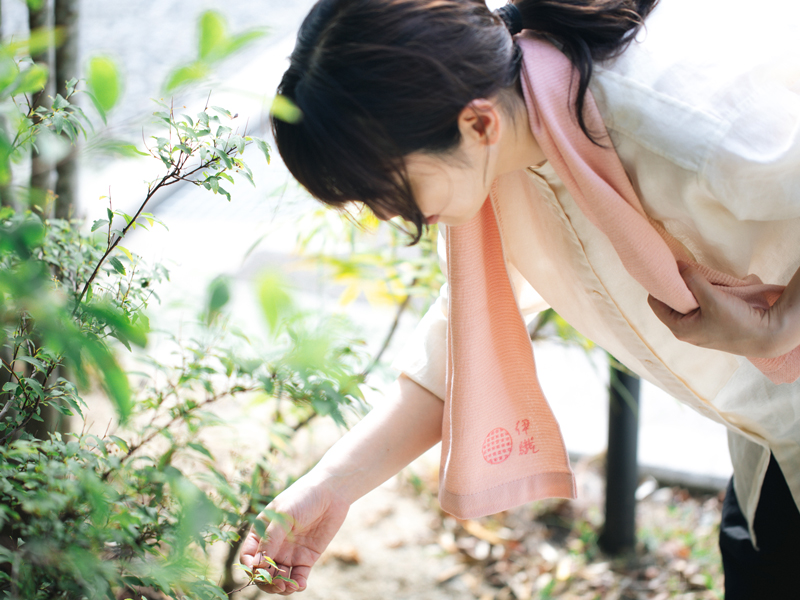 伊織のライトタオル2