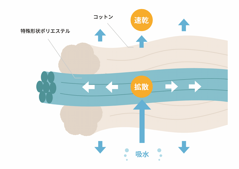 IORINO/すぐさら　繊維の構造図イラスト