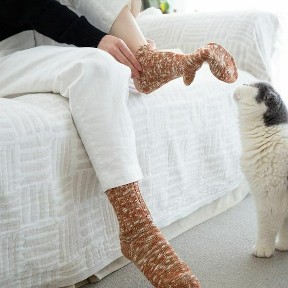 000000004095-24.jpg?size=l&w=